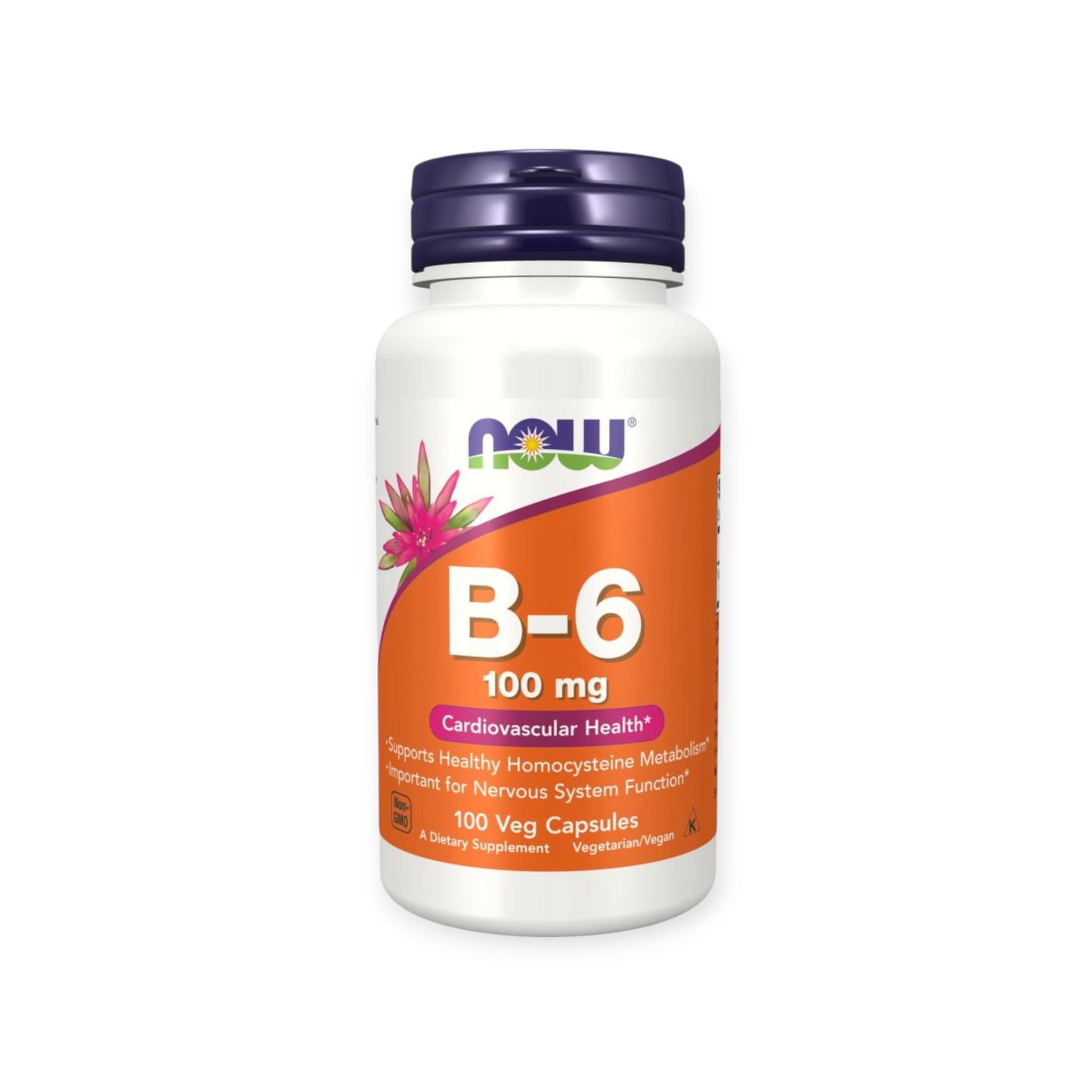 Now Foods Vitamin B-6 100 mg