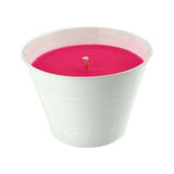 Candle Connection Small Lemon Scented Mosquito and Flying Insect Repellant Citronella Candle Bucket