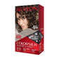 Revlon Color Silk Beautiful Hair Color