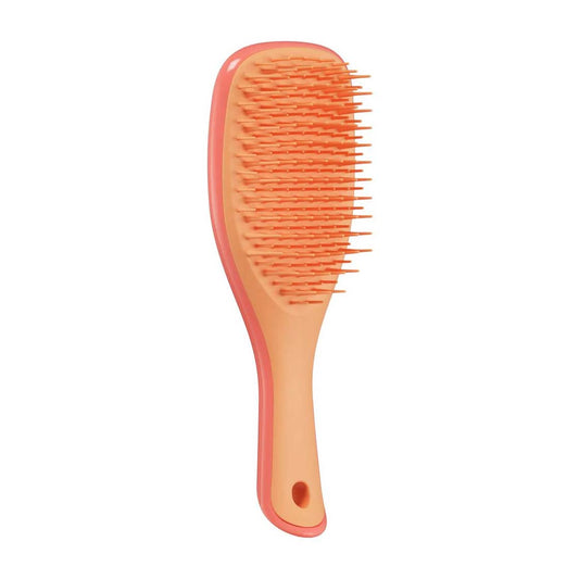 Tangle Teezer The Ultimate Straight and Curly Detangler Mini Hair Brush