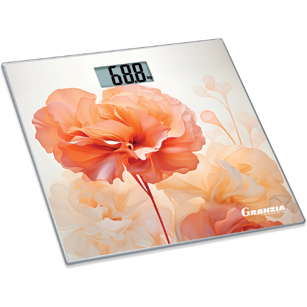 Prestige Digital Scale