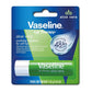 Vaseline Aloe Vera Lip Care Lip Balm - 4.8gm